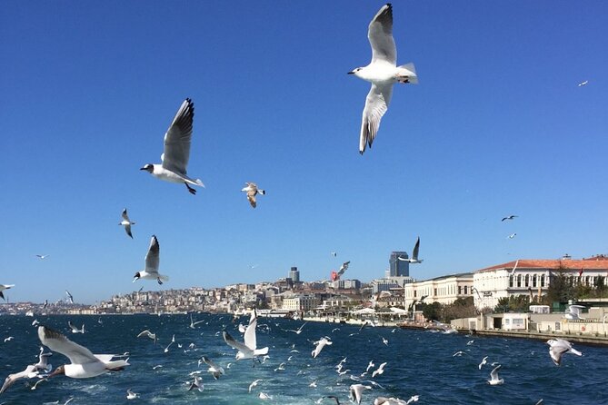 2-Hour Private Luxury Yacht Cruise on Bosphorus with Transfers - Bosphorus Bridge: closing shots and best ways to use your time