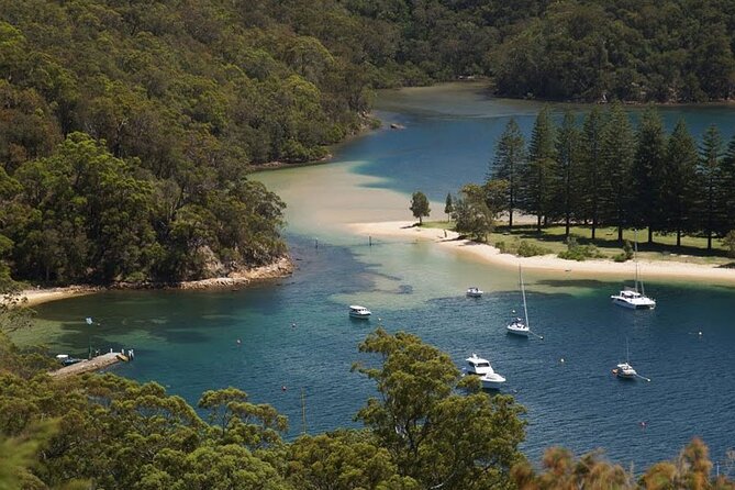 3-Hour Private Skippered Sailing Yacht Charter in Palm Beach - Optional Sail Around Scotland Island
