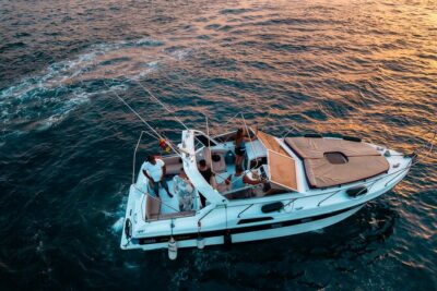 3 Hour Shared Motor Yacht Boat Trip & Snorkeling With Small Group - Whale and dolphin spotting: what you’re actually signing up for