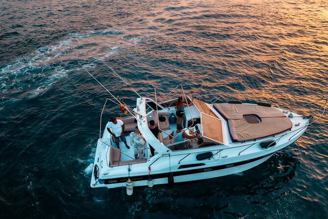3 Hour Shared Motor Yacht Boat Trip & Snorkeling With Small Group - Whale and dolphin spotting: what you’re actually signing up for