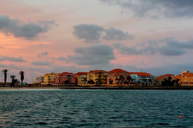 3 Hours Yacht Sailing Activity in Cabo Verde, Santa Maria - Wildlife odds: dolphins, turtles, flying fish, and whale chances