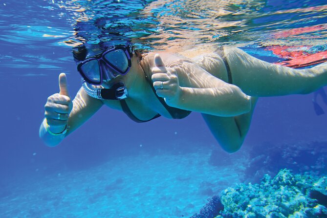 4 Hour Private Yacht Tour Mallorca - Playa Portals Vells: The Best Kind of Swim Stop