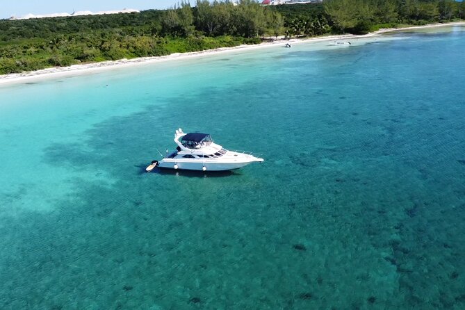 4 hours snorkel & beach tour - Private Yacht 47 ft - The onboard lunch: guacamole + fajitas or shrimp ceviche