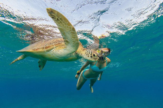 50' Luxury Yacht. Private Full or Half Day Catamaran Snorkel, & Beach Experience - Stop-by-Stop: From Secret Harbour to Hansen Bay Beaches