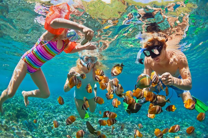 50' Luxury Yacht. Private Full or Half Day Catamaran Snorkel, & Beach Experience - What You’ll Get on Board (And Why It Matters)