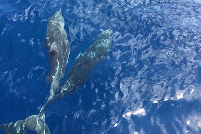 Appreciate the Amalfi coast on a luxury yacht! - Private luxury yacht days: the real reason this route works