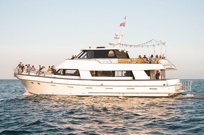 Coastal Cruise on Yacht in Santa Barbara - Service animals and the day-to-day reality of boarding