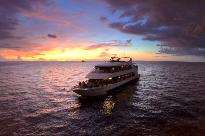 Evening Yacht Cruise with Optional Dining in St. Petersburg - Key Points Before You Go