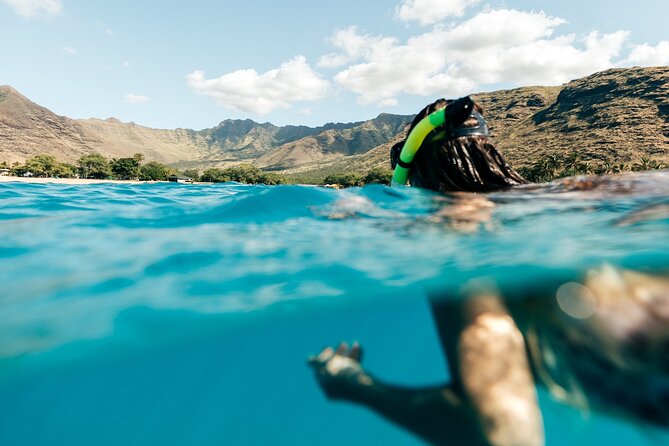 Exclusive Waikiki Yacht Snorkel with Lunch and Bevs - Price and value: is $274.10 a fair trade for 2.5 hours?