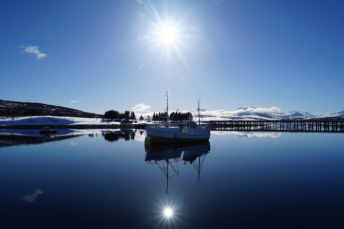 Fjordcruise - Luxury Yacht Arctic Queen - Should you book the Luxury Yacht Arctic Queen fjord cruise?