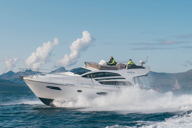 Fjordcruise - Luxury Yacht Arctic Queen - The fjord route that mixes scenery and WWII at the water’s edge