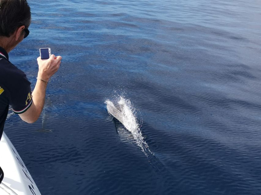 From Tazacorte: Fast Yacht Tour of La Palma - The route along La Palma’s north coast (and why those names matter)