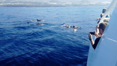 From Tazacorte: Fast Yacht Tour of La Palma - The hydrofoil-style boat and the underwater vision trick