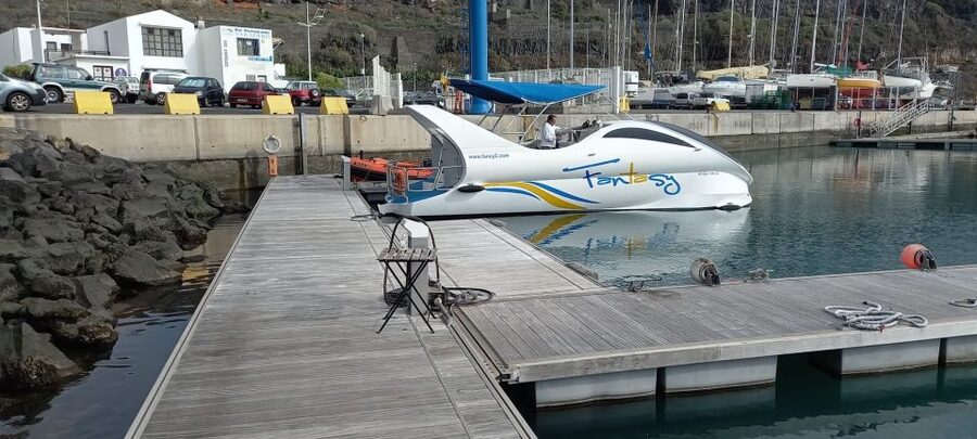 From Tazacorte: Fast Yacht Tour of La Palma - Dolphins and marine life odds: how this tour sets you up