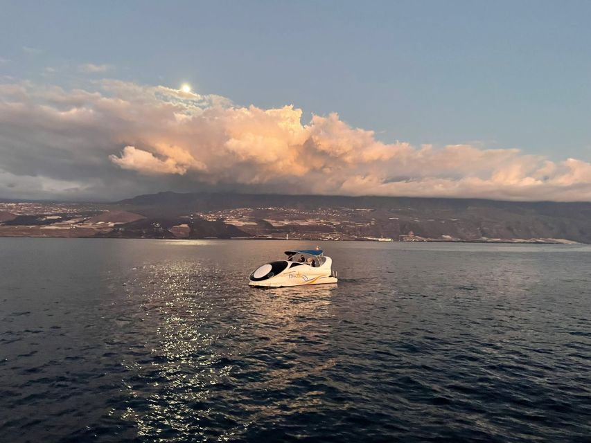 From Tazacorte: Fast Yacht Tour of La Palma - Price and value: is $69 for 2 hours fair?