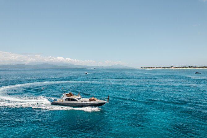 Full Day Nusa Penida by Honey Milk Yacht 13 meters - SD Point and Wall Bay: turtles, fish, mangroves, and current-smart snorkeling