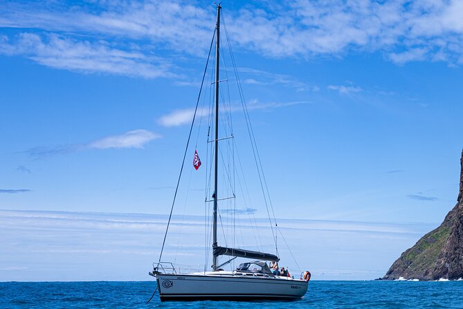 Half-Day Boat Trip Madeira Funchal- Private Yacht Snacks & Drinks - Key Highlights You’ll Actually Care About