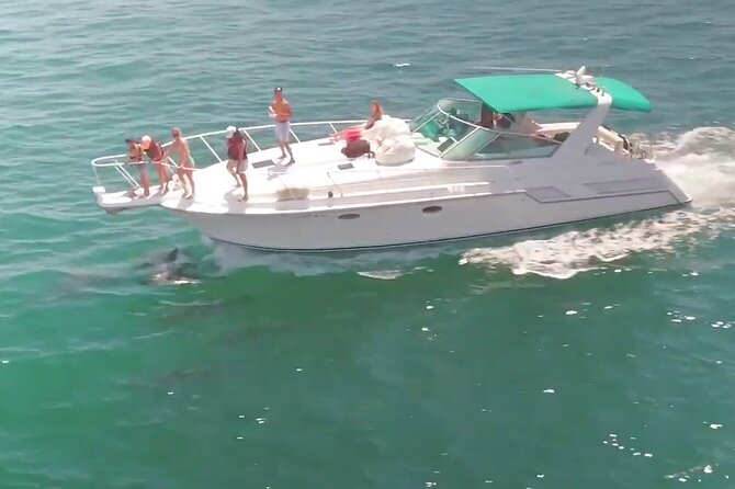 LA: Yacht Private Trip -1 hour (1 ticket covers 1-6 ppl - A private Long Beach night cruise with real comfort (not just sightseeing)