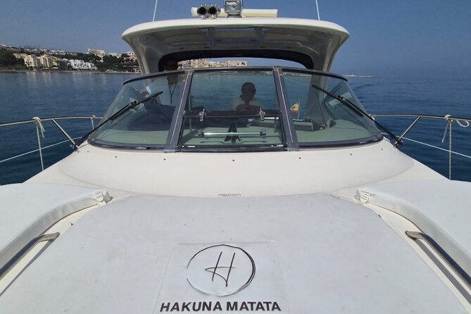 Luxury Motor Yacht in Estepona. Dophin spotting, swimming, etc - Dolphin Spotting in Estepona: Keep Your Expectations Real