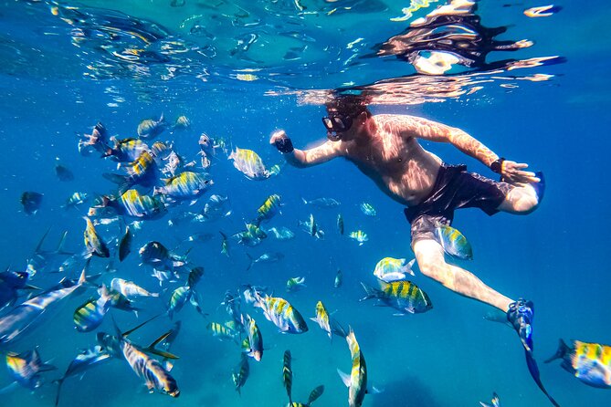 Luxury Yacht & Snorkel with All inclusive Open bar and lunch - How the group size changes the vibe on the water