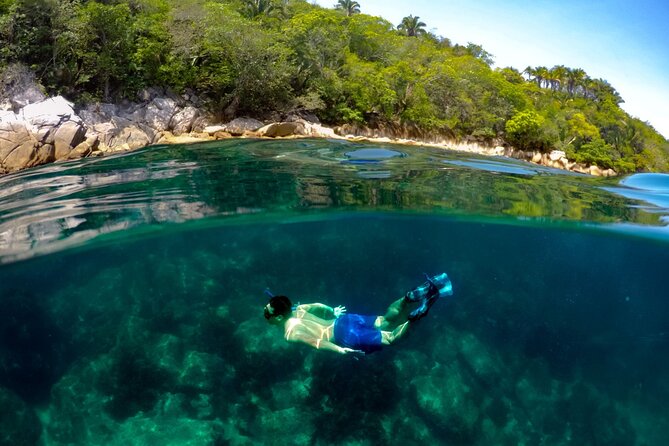 Luxury Yacht & Snorkel with All inclusive Open bar and lunch - Price and extra fees: what $119 usually turns into