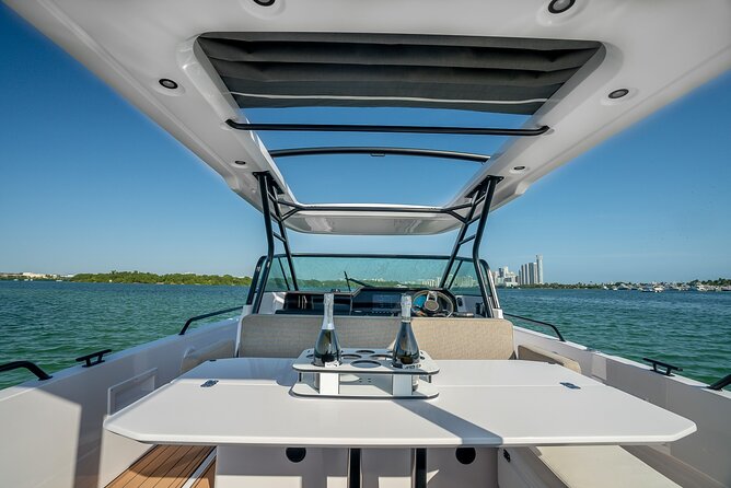 Miami Bay Discovery Private Yacht Cruise with Captain - Wildlife Chances and Water Conditions (Dolphins, Manatees, Stingrays)