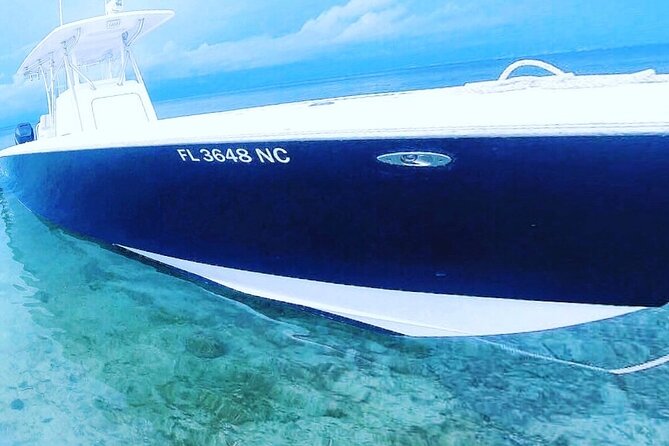 Miami Private Yacht Rental with Captain - Wildlife Encounters: Dolphins, Manatees, and Fish