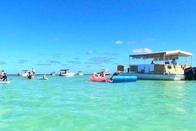 Miami: Snorkeling Adventure in Miami for Beginners Private Yacht - The sandbar snorkeling stop: what you’re really signing up for