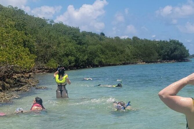 Miami: Snorkeling Adventure in Miami for Beginners Private Yacht - Who should book this Miami beginner yacht snorkeling trip