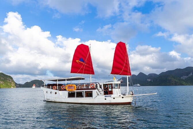 Mumbai Bay Breeze Sail on a Compact Yacht Experience - What to look for out on the water: dolphins and working harbor scenes