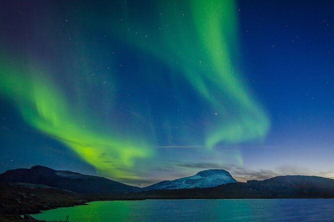 Northern Lights Yacht Cruise in Reykjavik - Two Hours of Aurora and Whale-Spotting From Old Harbour