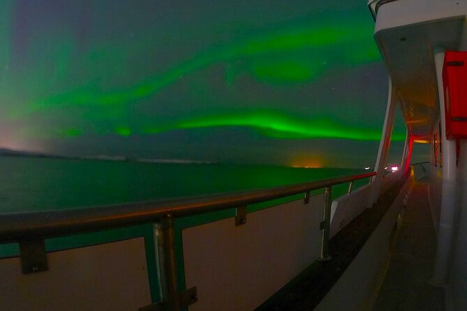 Northern Lights Yacht Cruise in Reykjavik - Sailing the Faxaflói Bay Route: Coast Views and Real Wildlife Odds