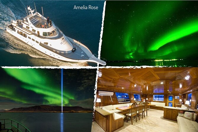 Northern Lights Yacht Cruise in Reykjavik - How the Crew Helps You Spot the Aurora (and Actually Understand It)