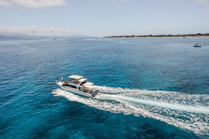 Nusa Penida Full Day Tour by Riki J Yacht 13 meters - Kelingking cliff car tour and lagoon cruising on the route
