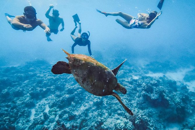 Oahu Small Group Snorkel Tour with Yacht Cruise - The Open Bar on Deck: Drinks That Keep the Day Easy