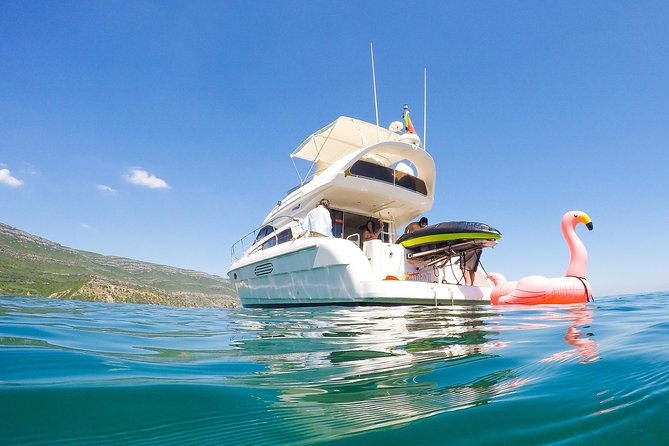 Ocean Bliss: Full Day Arrábida Private Yacht Tour from Lisbon - Louis and Gil’s dolphin-spotting mindset in the Sado region