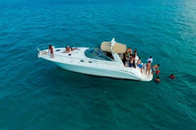 Premium Miami Yacht Tour Experience: Captain, Champagne & Party! - Cruising Biscayne Bay: islands, beaches, and real wildlife spotting potential