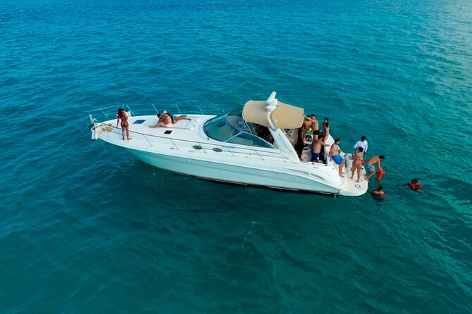 Premium Miami Yacht Tour Experience: Captain, Champagne & Party! - Cruising Biscayne Bay: islands, beaches, and real wildlife spotting potential