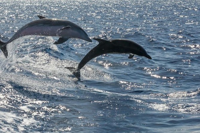 Premium Yacht Private Charter - Swim or Snorkel Stop: Gear Included, Timing Yours