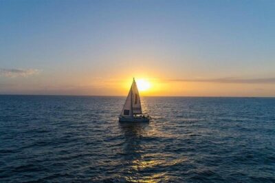 Premium Yacht Private Charter - What You’ll See on the Water: Whales, Dolphins, and Captain Time