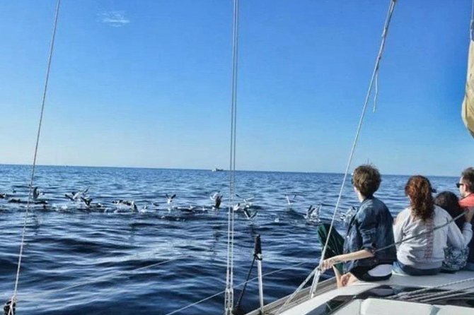 Premium Yacht Private Charter - Snacks, Drinks, and Comfort Details That Matter