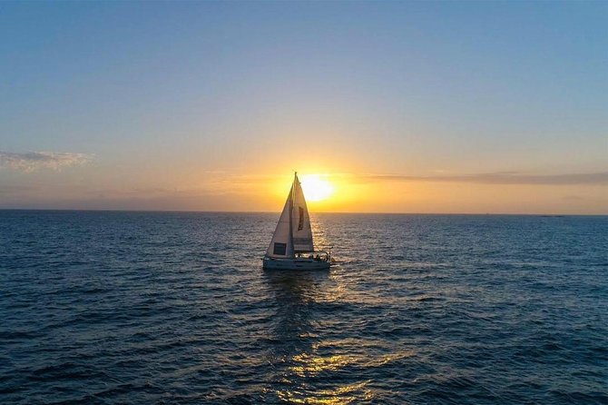 Premium Yacht Private Charter - What You’ll See on the Water: Whales, Dolphins, and Captain Time