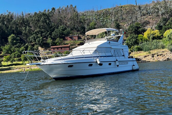 Premium Yacht Tour on the Douro - The Bridge Tour: Freixo to Ribeira by Way of Porto’s Famous Crossings