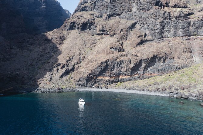 Private Boat Tour on Royal Ocean Yacht, Tenerife - Stop 1 near Las Galletas: whales, dolphins, and a photographer’s window