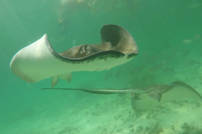 Private Fishing Tour in Yacht Playa del Carmen - The fishing time itself: what “ecoclines” and trolling mean for your day