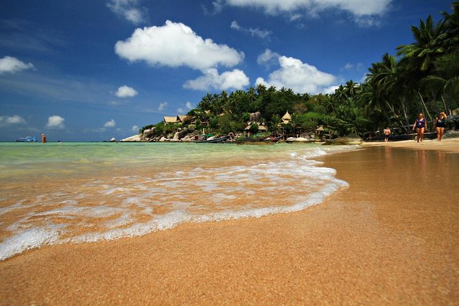 Private Full-Day Red Dragon Yacht for Snorkeling Koh Tan & Visit Pink Dolphin - Key highlights to know before you go