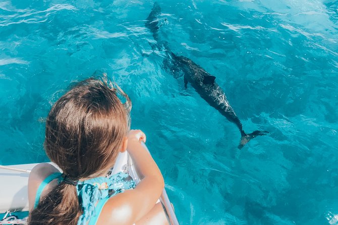 Private Snorkel Trip from Oahu on a Yacht - Price and value for a private charter (when it makes sense)