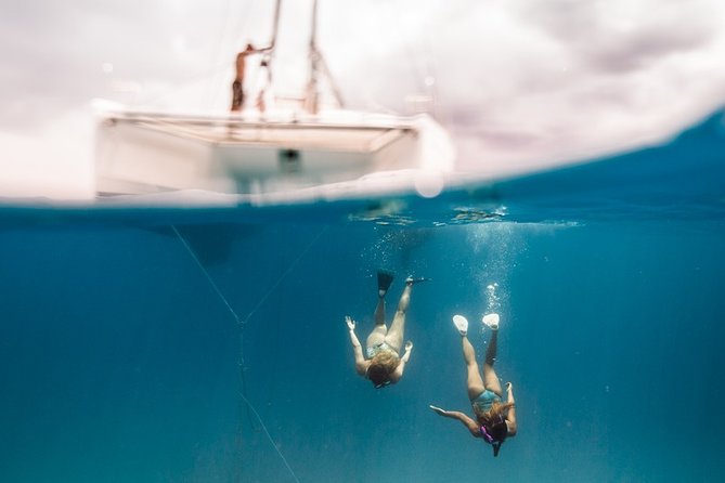 Private Snorkel Trip from Oahu on a Yacht - Timing, weather, and how to plan your morning