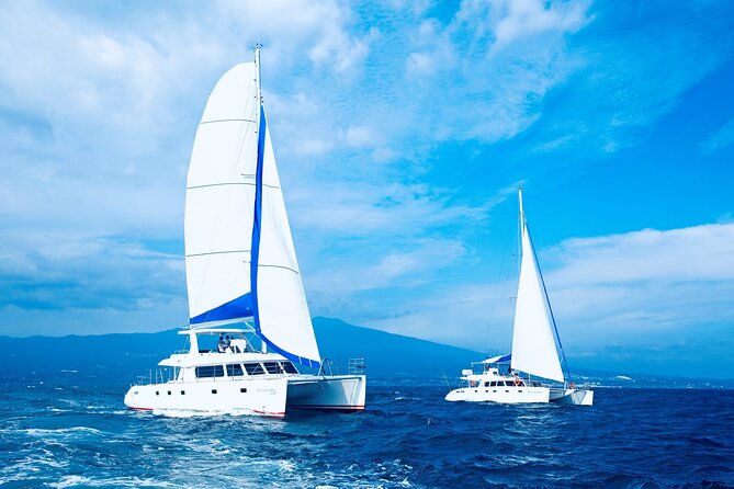 Private Tour in South Jeju including Yacht Cruise - Key highlights worth your attention