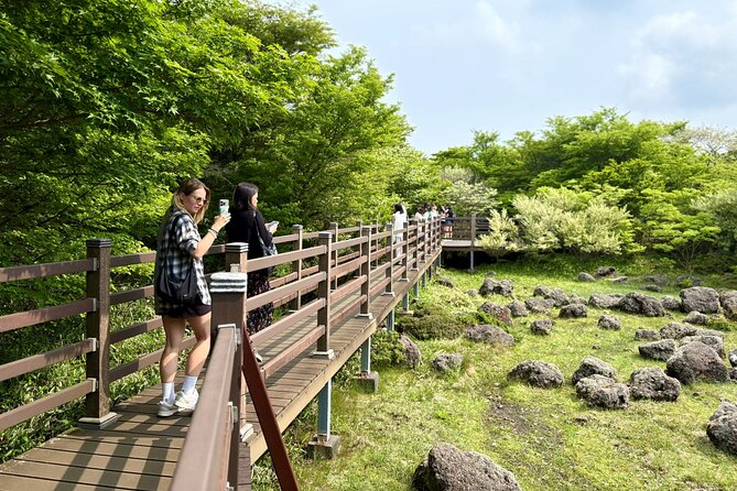 Private Tour in South Jeju including Yacht Cruise - Price and value: what $215 per person really buys